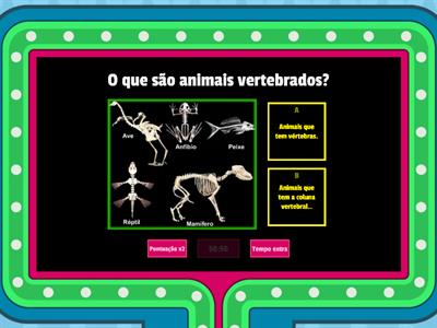 Animais Vertebrados e Invertebrados