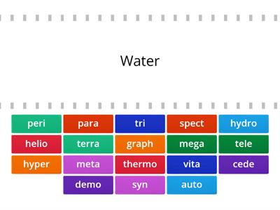 Root Words