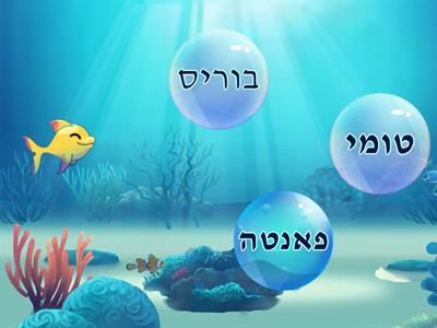 כלבים