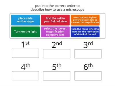 how to use a light microscope