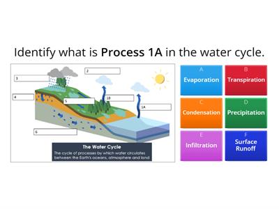 Getting Skilled in the Water Cycle