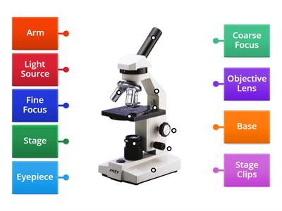 Label the Light Microscope