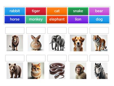 Animals (grammar-monster vocabulary)