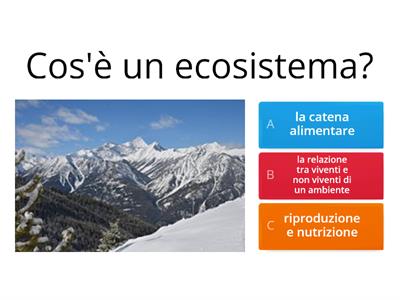 La catena alimentare e l'ecosistema