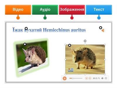 Об'єкти на слайді комп'ютерної презентації