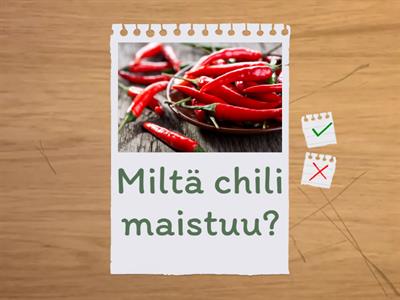 Miltä maistuu? Miltä näyttää? SM1 kpl 8