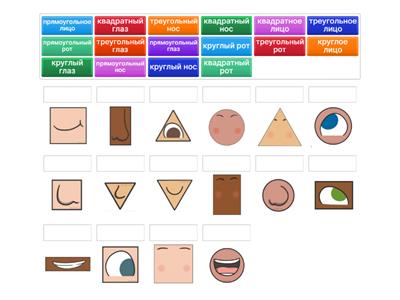 Y5 Shapes face