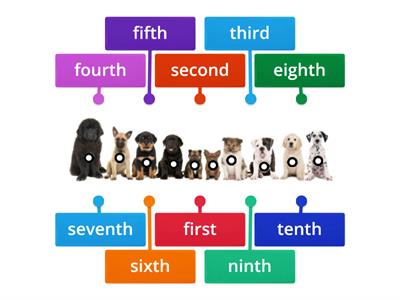 Ordinal Numbers 1st-10th