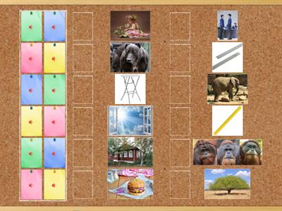 Сорока 1 урок 9