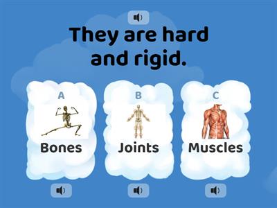 Locomotor system