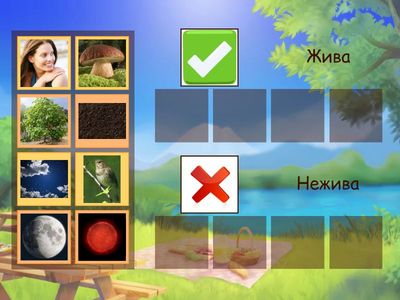 Жива та нежива природа