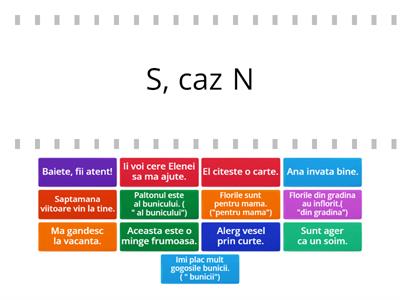 Substantivul - cazuri si functii sintactice