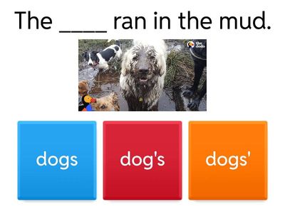 Plural, Possessive, or Plural Possessive 