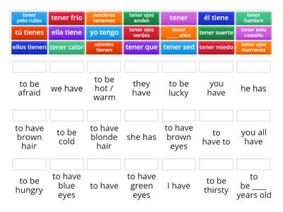  tener / tener expressions 