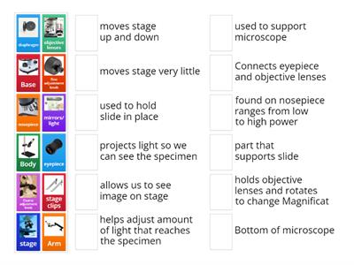 Parts of a microscope project