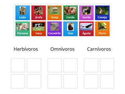 Animales carnívoros, omnívoros y herbívoros