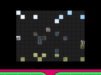 Che cos'è? Con immagini