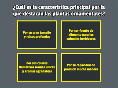 Plantas 3 Basico Chile