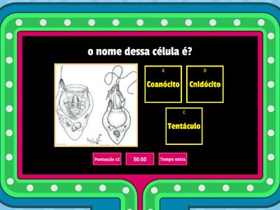 Revisão : Poríferos e Cnidários