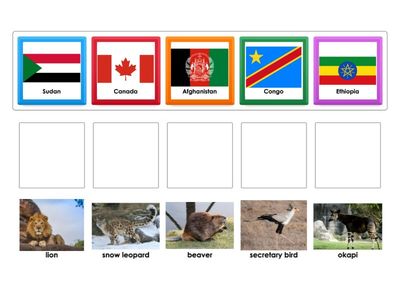 Countries & Animals