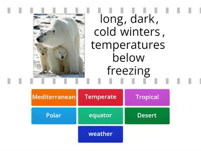  World Climates Vocabulary definitions