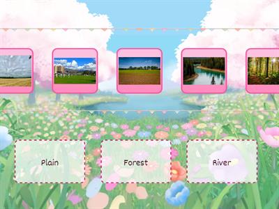 plain/forest/river sorting