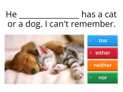  Neither-nor either-or 