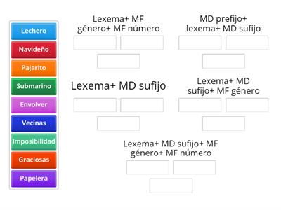 Lexemas y morfemas