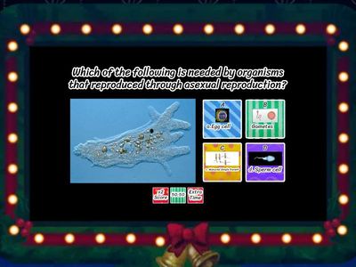 Asexual vs Sexual Reproduction 