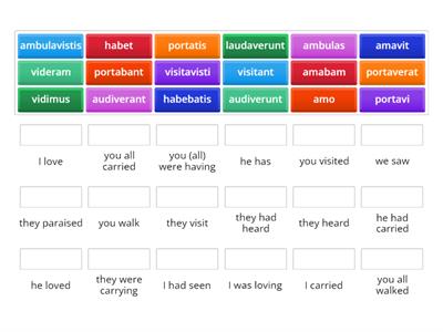 verbs (present, imperfect, perfect, pluperfect)