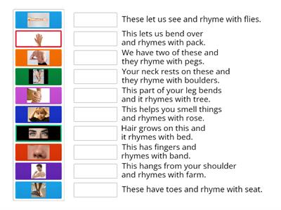 Body Part Rhymes