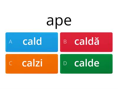 Adjective / forme 20 decembrie