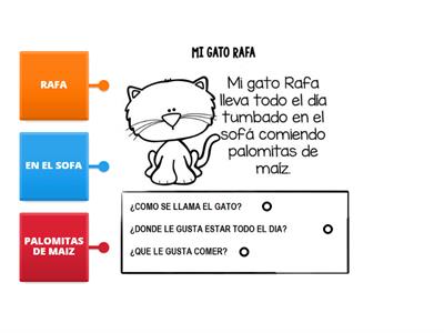 COMPRENSIÓN LECTORA - MI GATO RAFA