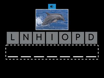 Animals - A1/A2 Level - Kids