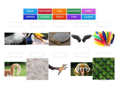 NT3- UNIT 2 VOCABULARY