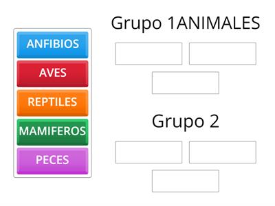 ANIMALES VERTEBRADOS