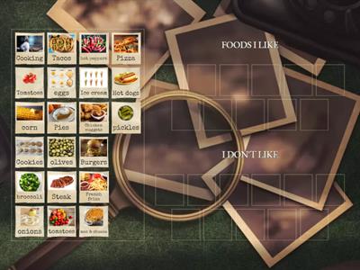 Food Likes and Dislikes