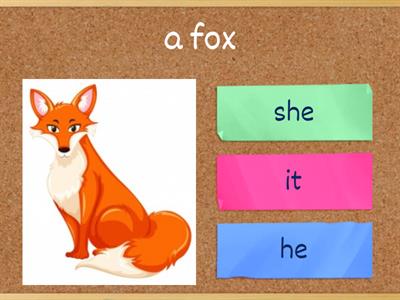 HE/SHE/IT/WE/YOU/THEY/I