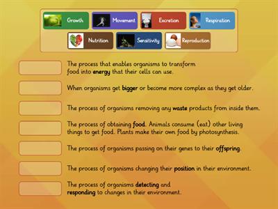 The 7 Life Processes Definition Matchup