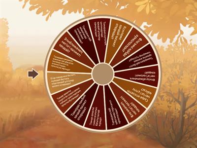 7 сынып. §19. Тамырдың ішкі құрылысы