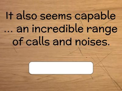 CE: Prepositions 2023/B