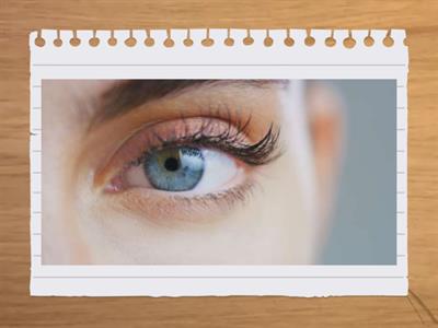 Appearance Navigate B1+