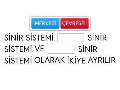 SİNİR SİSTEMi 6
