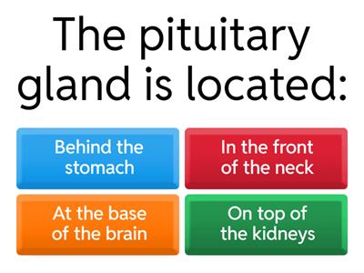 The endocrine system