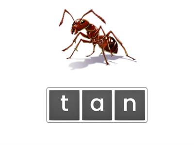 Istation Spelling Vol 1