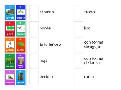 NAT. SC 4º UNIT 2 WE LOVE PLANTS TEST 2 (WORDS 11-20)