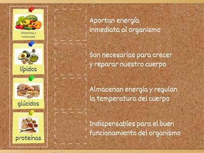 Funciones de los nutrientes