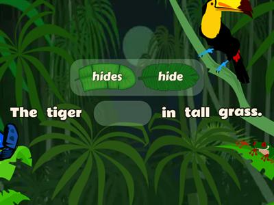 Present Simple / animals Grade 5