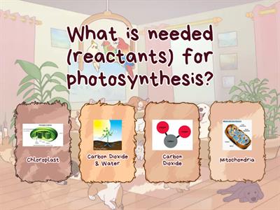 Cell Processes Vocabulary PRACTICE