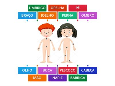 PARTES DO CORPO HUMANO